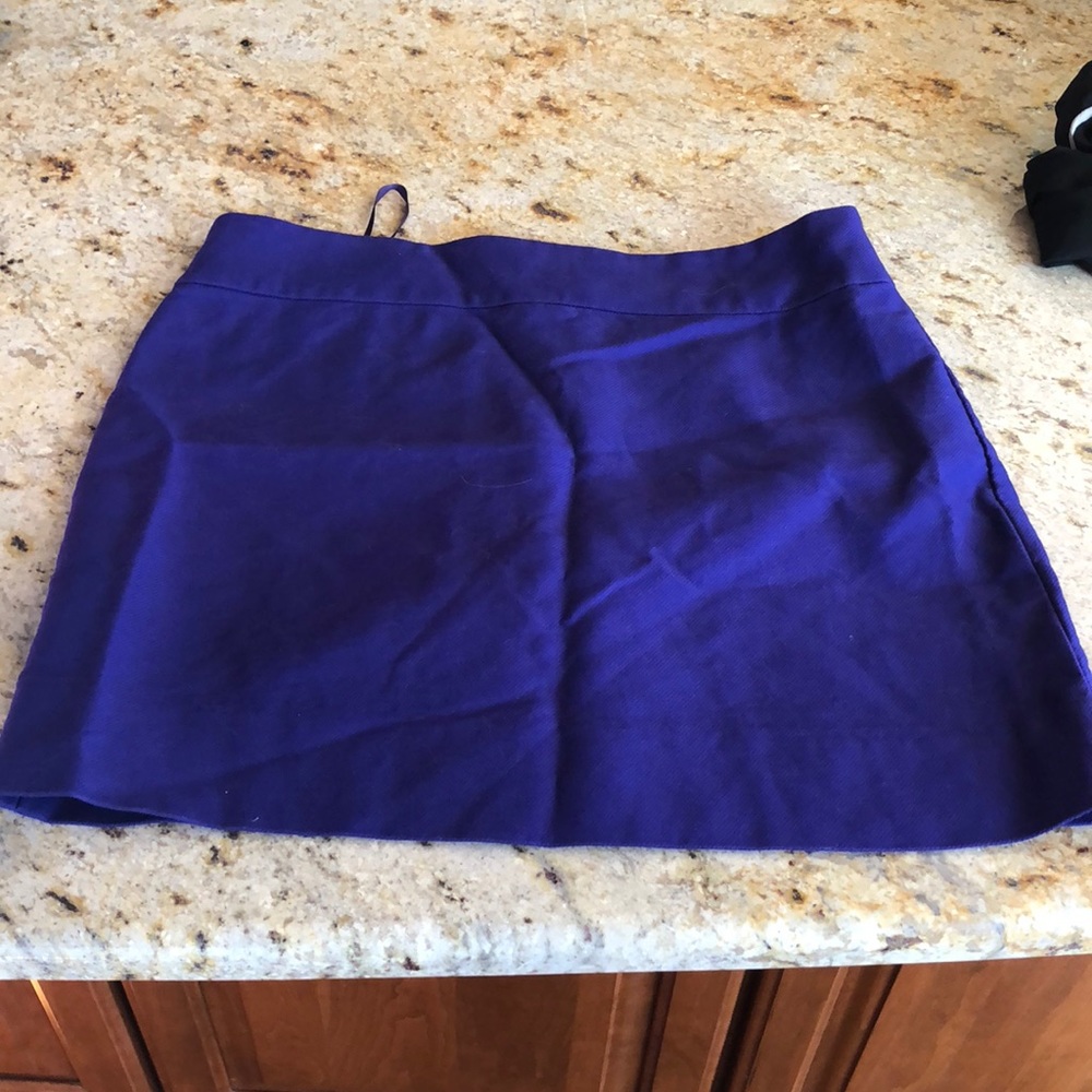 Purple/blue j-crew skirt
